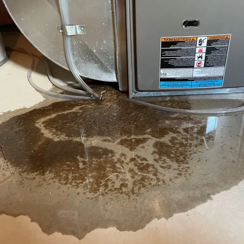Pipe Burst and Leak Restoration in Calico Rock, AR