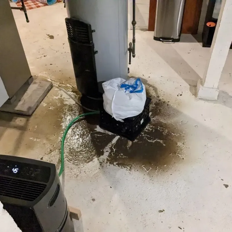 Sewage Backup Cleanup Service in Calico Rock, AR